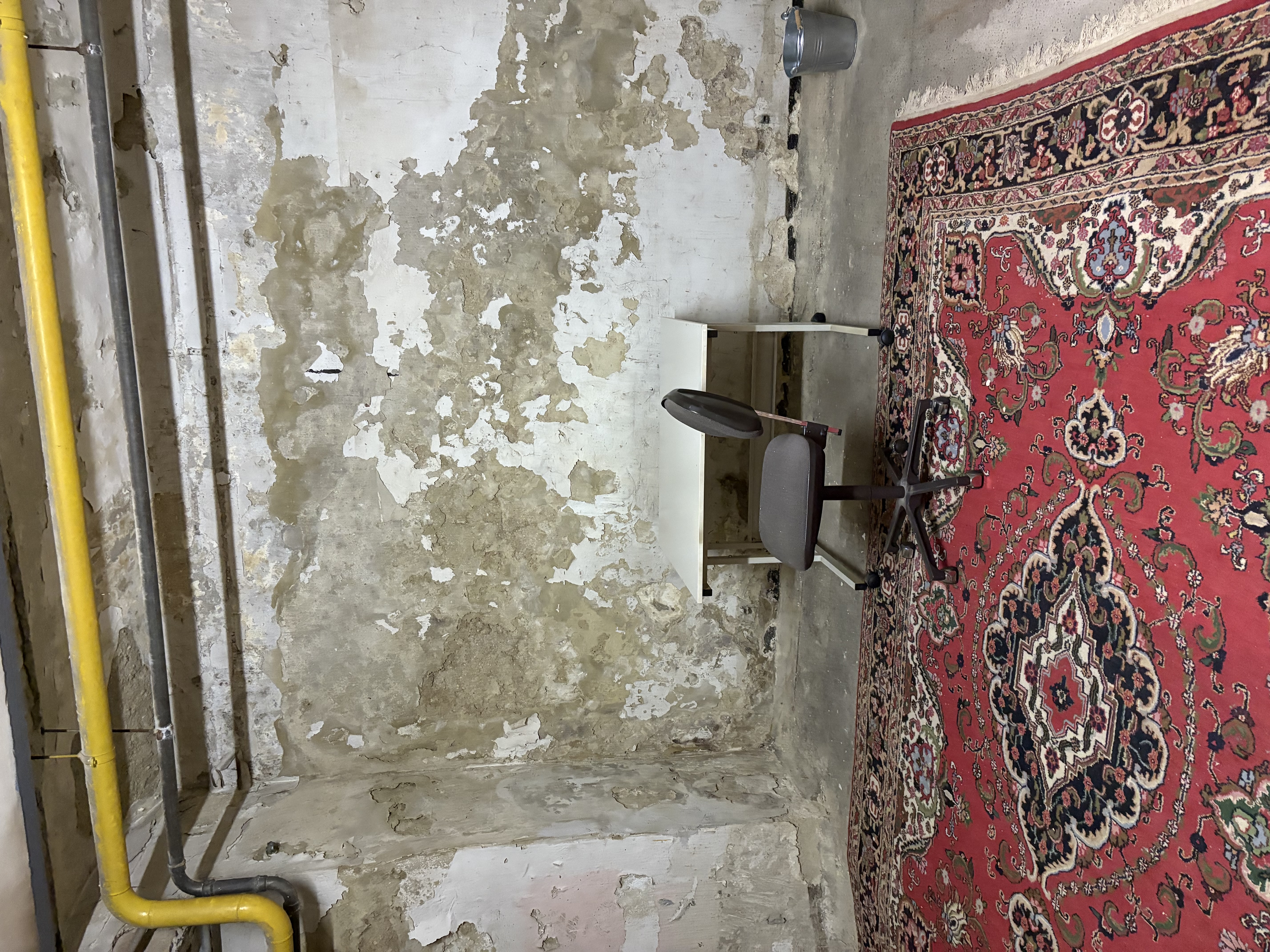 Lager/ Werkstatt im 19. Bezirk — photo 9