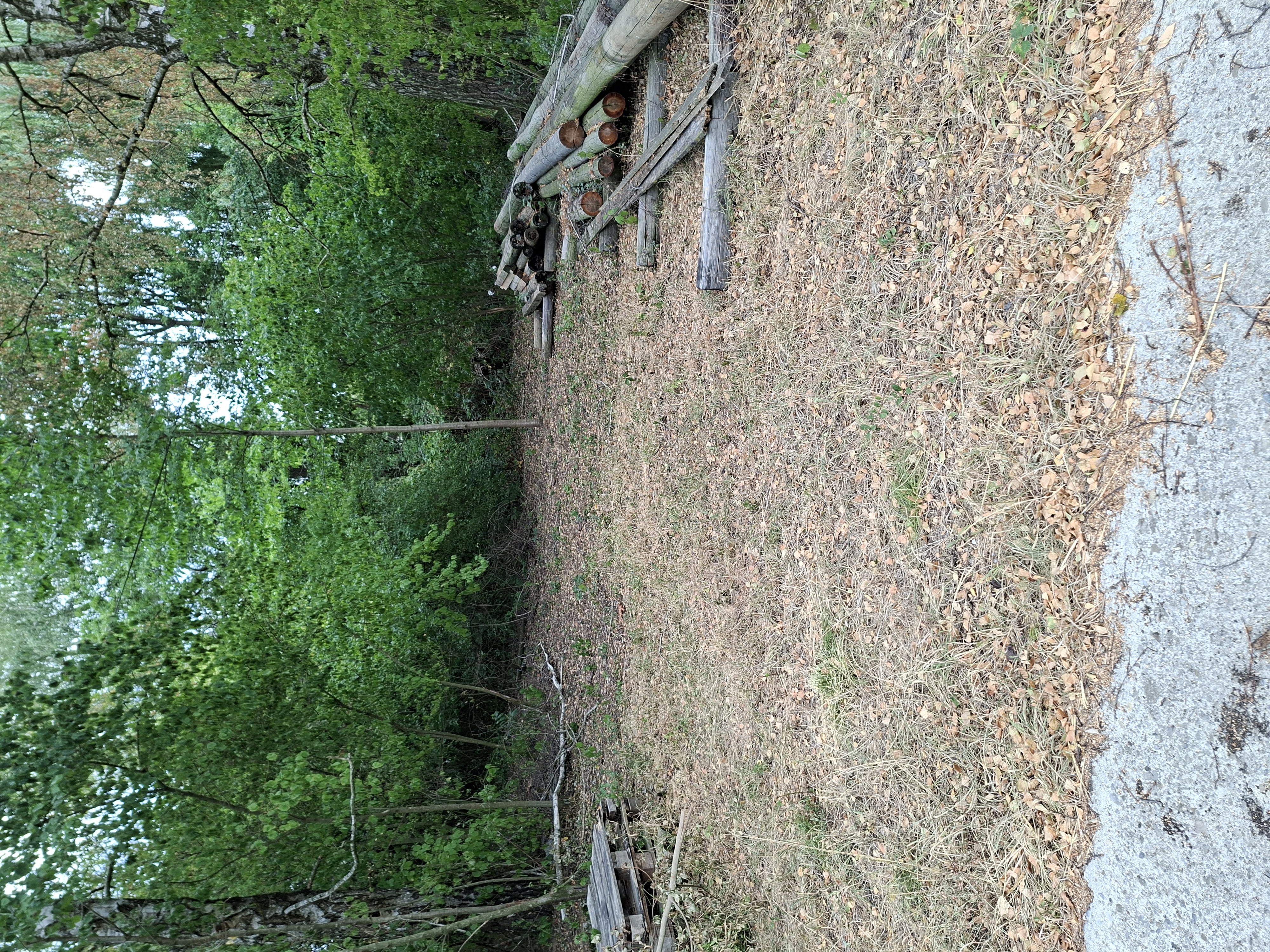 Ebene Wiese mit betonierter Zufahrt — photo 1